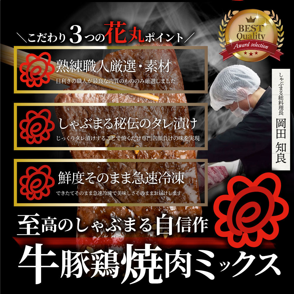 焼肉 ざんまい 牛豚鶏よくばり焼肉ミックス 1kg（500g×2） おトク お徳用 送料無料 肉 通販 お取り寄せ グルメ アウトドア お家焼肉 レジャー 送料無料 バーベキュー 肉 セット バーベキューセット キャンプ キャンプ飯