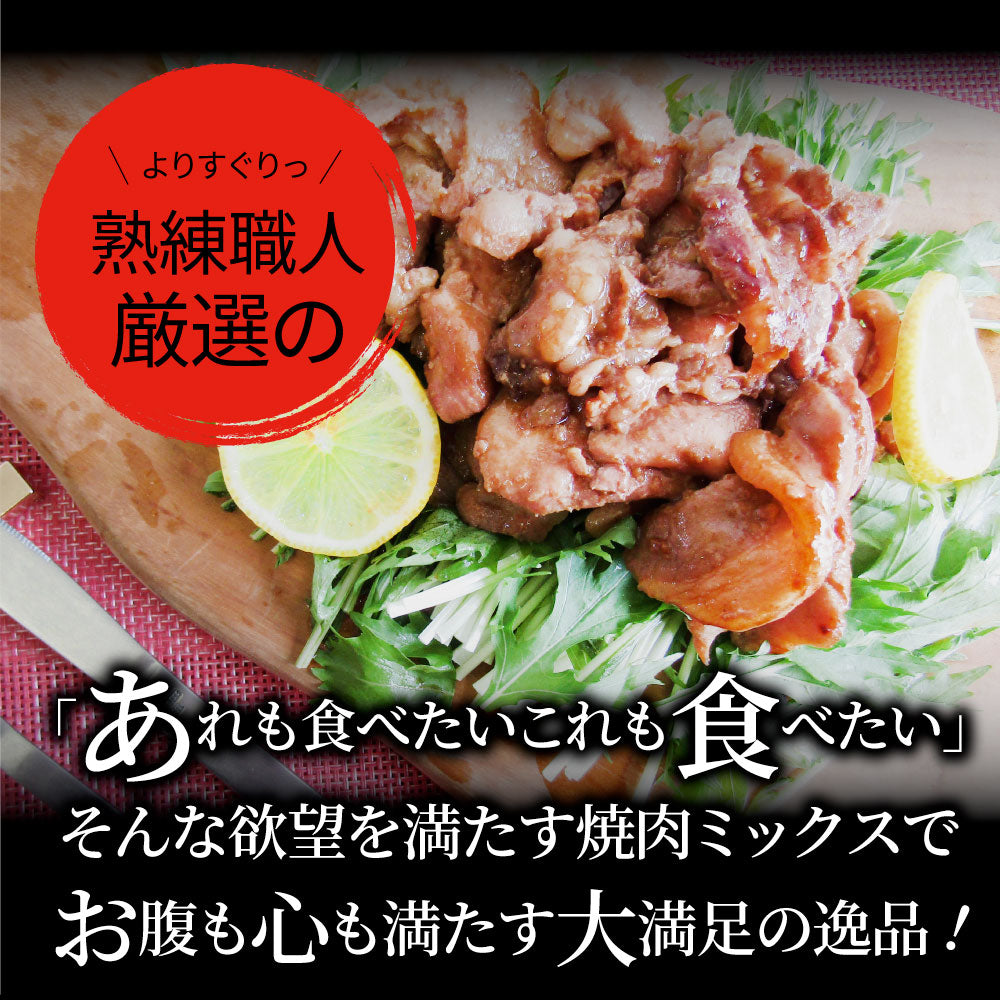 焼肉 ざんまい 牛豚鶏よくばり焼肉ミックス 1kg（500g×2） おトク お徳用 送料無料 肉 通販 お取り寄せ グルメ アウトドア お家焼肉 レジャー 送料無料 バーベキュー 肉 セット バーベキューセット キャンプ キャンプ飯