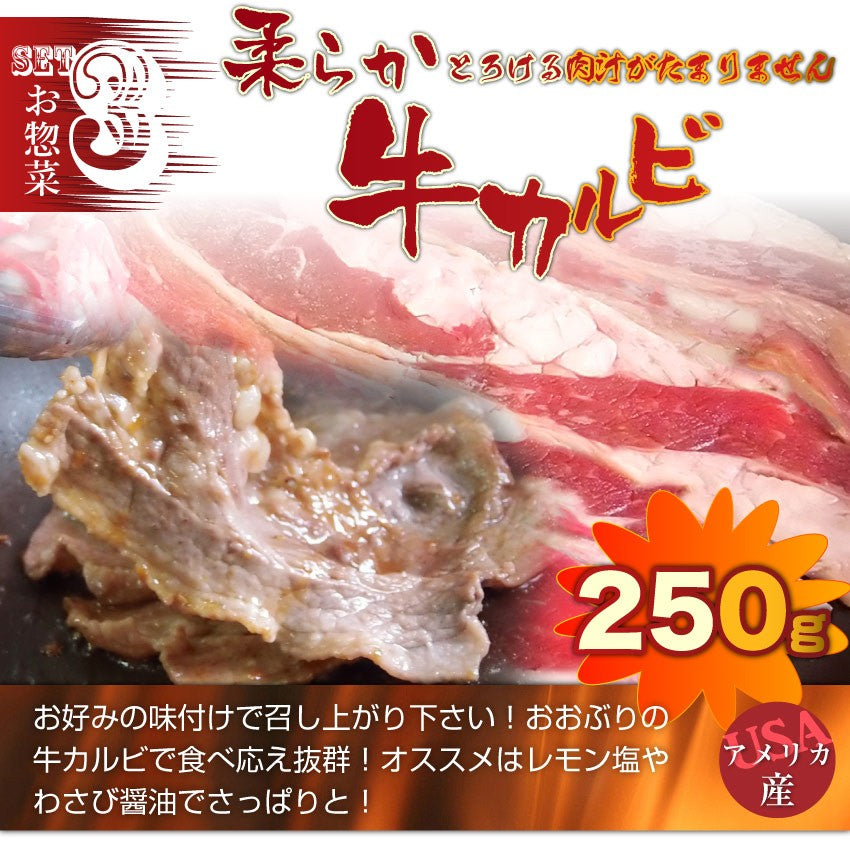 焼肉 牛肉 肉 カルビ三昧セット 5種のカルビ 焼き肉 カルビ ソーセージ BBQ 福袋 お中元 ギフト 食品 プレゼント キャンプ キャンプ飯